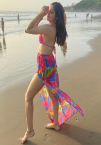 Air Hostess Escorts